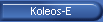 Koleos-E