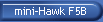 mini-Hawk F5B