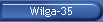 Wilga-35
